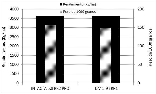 también disminuyeron en el cultivar convencional (2,3 depredadores/m), con respecto al estado previo de formación de granos (R5.5), donde ambos superaron 3 depredadores/m (Figura 2).