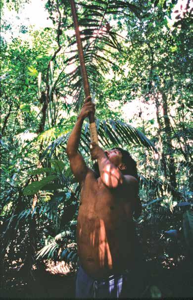 Las mujeres Waorani usábamos en la selva ninguitai (shigras) para transportar cosas, siendo tejidas de fibra de one en forma de cruz, reforzadas con hojas frescas y sujetadas con lianas delgadas en