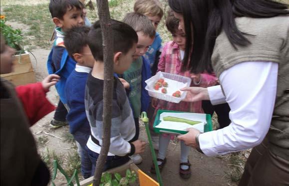 Hemos aprendido que la creación de un huerto en la escuela es aprovechable, los frutos cosechados se pueden aprovechar en el comedor escolar por ejemplo, los niños se encargan de
