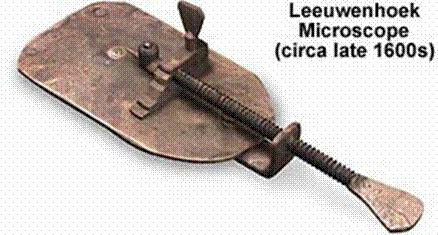 El descubrimiento de las células Anton van Leeuwenhoek (1632-1723): construyó microscopios simples con solo una lente que aumentaba los