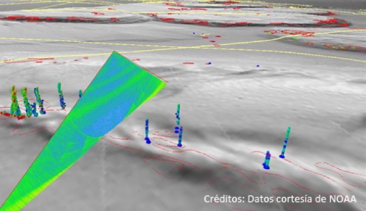 Figura 7. Representación de modelo de elevación renderizado con datos de retro-dispersión, con ecos de sonar de contacto para yacimientos de fugas de gas. Datos cortesia de NOAA.
