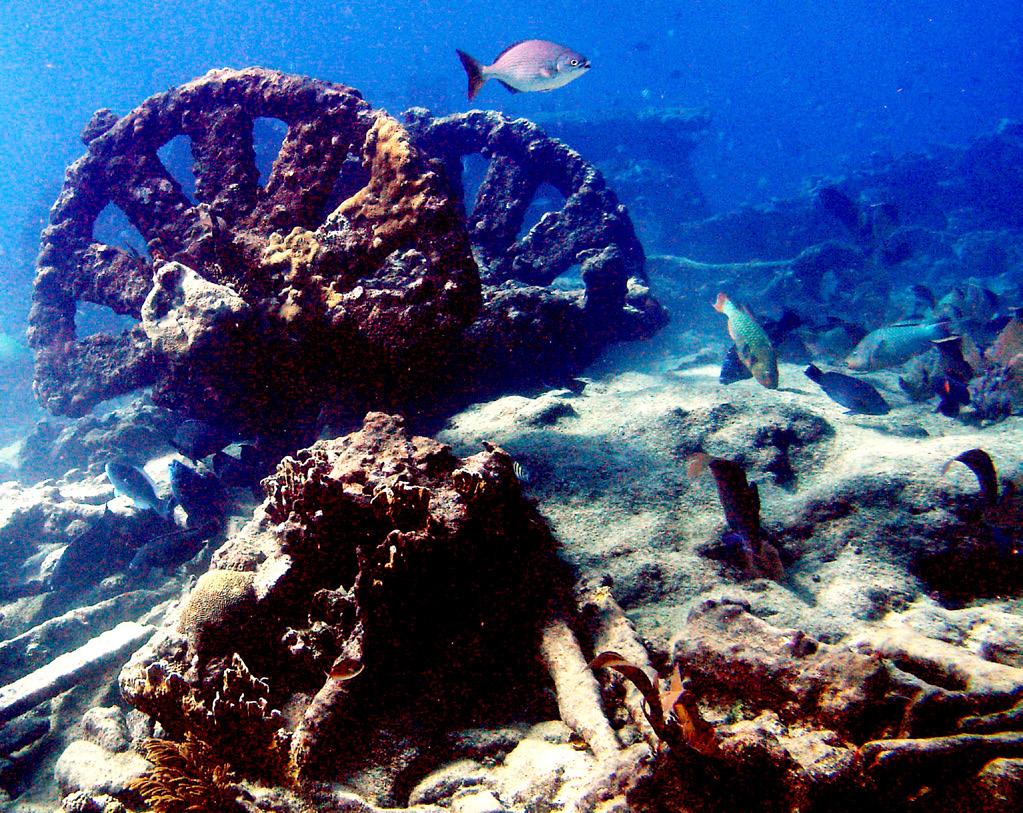 Exploración subacuática de restos arqueológicos en costas de Yucatán.