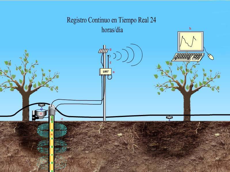 Automatización de la programación del riego Sondas de capacitancia (FDR) 170 165 Conectar riego
