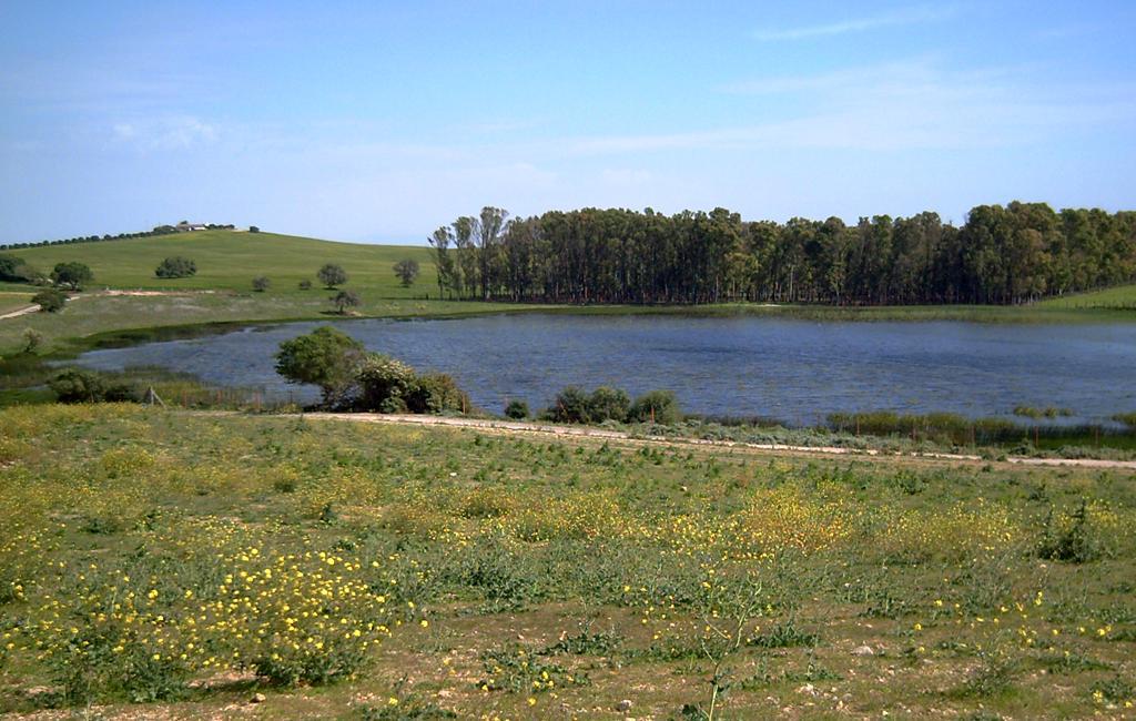 Laguna de Las Canteras. Zona de arcillas abigarradas del Keuper, Triásico.