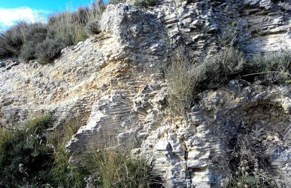 Cerro de Lomopardo. Margas blancas y limos del Mioceno, Terciario.