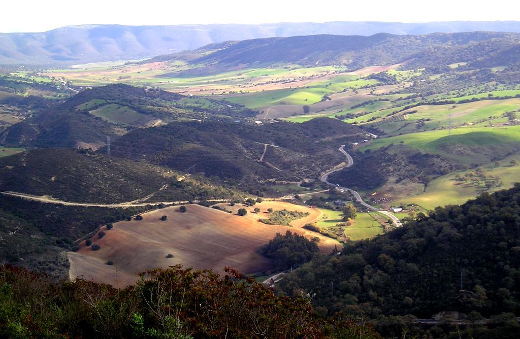 Paisaje al E de San José del Valle.