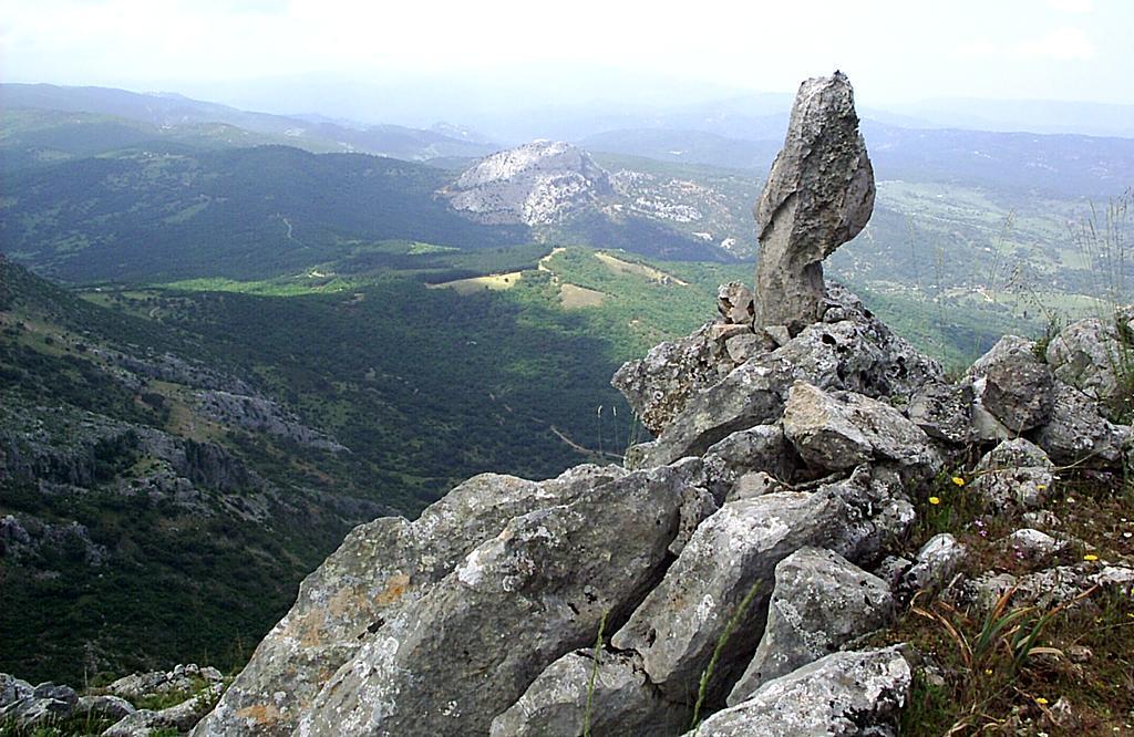 Calizas Jurásico Cretácicas del Peñón del Berrueco. Sierra de Líbar.