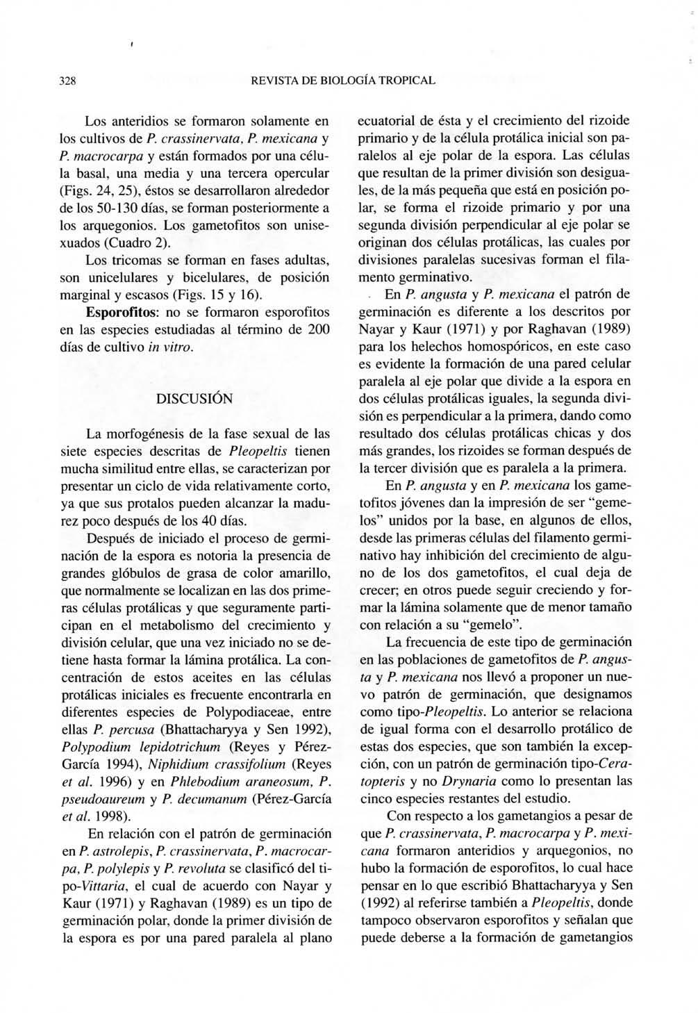 328 REVISTA DE BIOLOGIA TROPICAL Los anteridios se formaron solamente en los cultivos de P. crassinervata, P. mexicana y P.