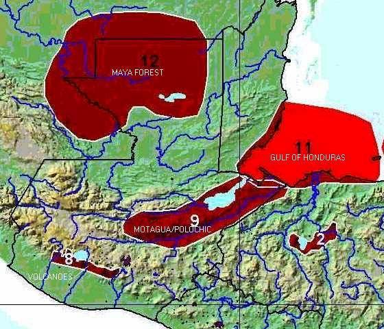 Prioridades de conservación TNC Áreas de Acción de TNC en Guatemala Selva Maya /RBM