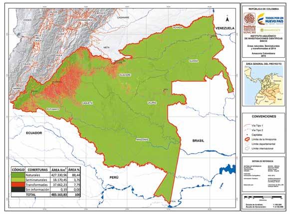 Tabla 94. Distribución de coberturas transformadas en la Amazonia colombiana Fuente: Sinchi, 2015 Cobertura Área (km 2 ) Área (%) Pastos limpios 22.