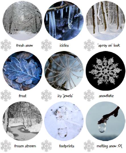Cuál de estos ambientes helados has visto en un paisaje invernal?