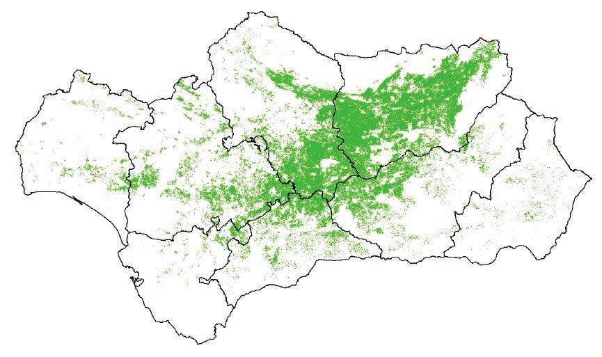 Mapa 3.1. Distribución territorial del cultivo del olivo en Andalucía. 2008 Fuente: Unidad de Prospectiva.