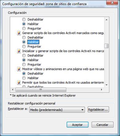 Seleccione Nivel personalizado. En la sección Controles y Complementos de ActiveX, seleccione en ellos la opción Habilitar. Por favor note que son más de uno.