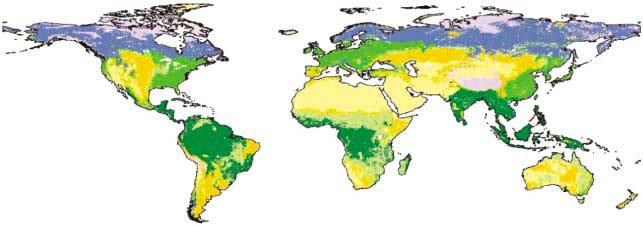 Distribución de la vegetación potencial Selva tropical Selva templada Selva boreal Savana Pastizales