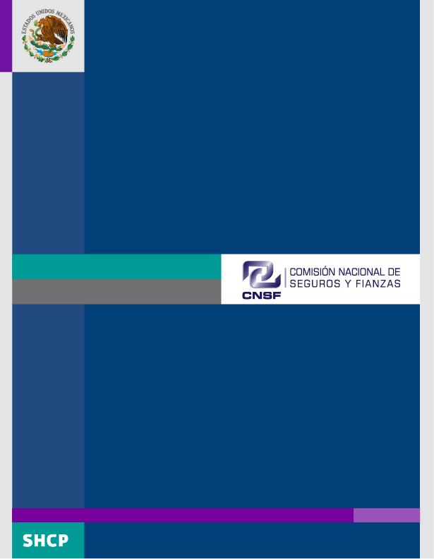 Análisis descriptivo del sistema estadístico del seguro de Vida (2007).