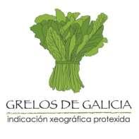 Indicación Geográfica Protegida (IGP) Grelos de Galicia Descripción del producto Parte vegetativa destinada al consumo humano procedente de plantas de la especie Brassica rapa L. var.