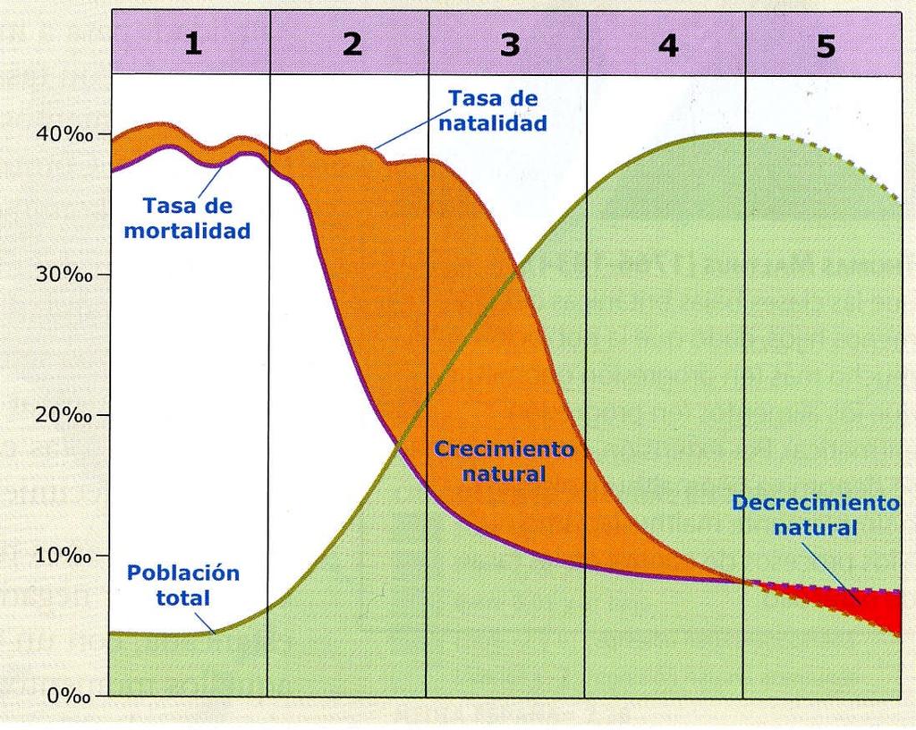 OPCIÓN B - Polo de desarrollo - Plano urbano - Isoyetas - Meridional - Escala de un mapa - Amplitud térmica 2. En el gráfico adjunto se representa el modelo de transición demográfica en España.