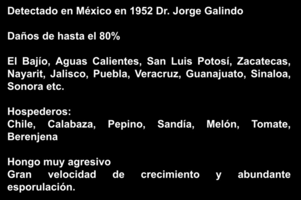 Phytophthora capsici Leonian. MARCHITEZ DEL CHILE Detectado en México en 1952 Dr.