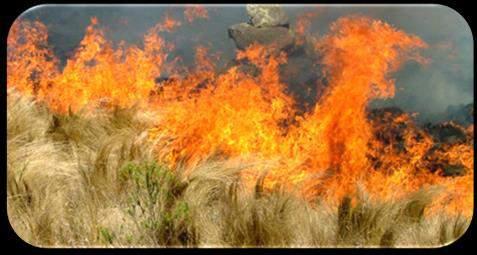 Las quemas agrícolas de rastrojos están prohibidas en países