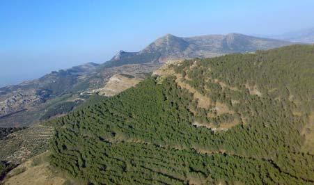 RECURSOS NATURALES: Paisaje Serranías de Montaña Media Quedan entre los olivos dos áreas de paisaje de sierra, que conservan vegetación natural.