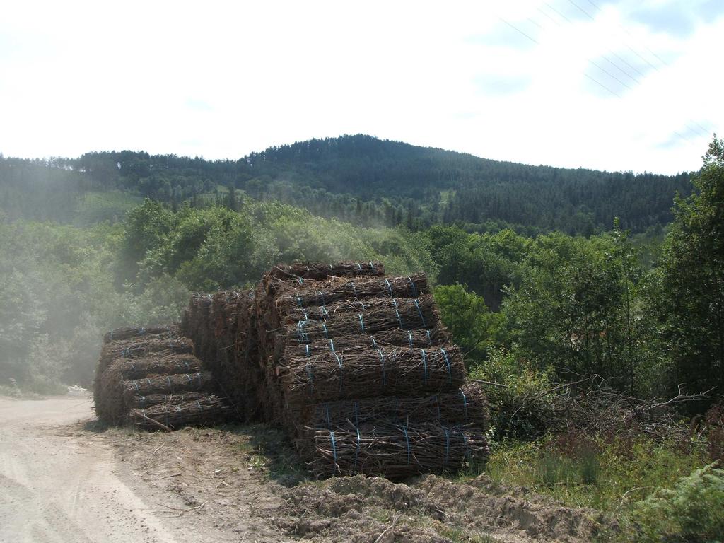 Otras biomasas Residuos Forestales Residuos forestales.