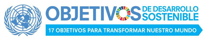 El tema elegido para el Día en 2016 es el siguiente: «Los Objetivos de Desarrollo Sostenible: elementos constitutivos de la paz».