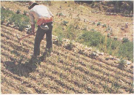 Agro Eco Logia Y Saber Campesino En La Conservacion De