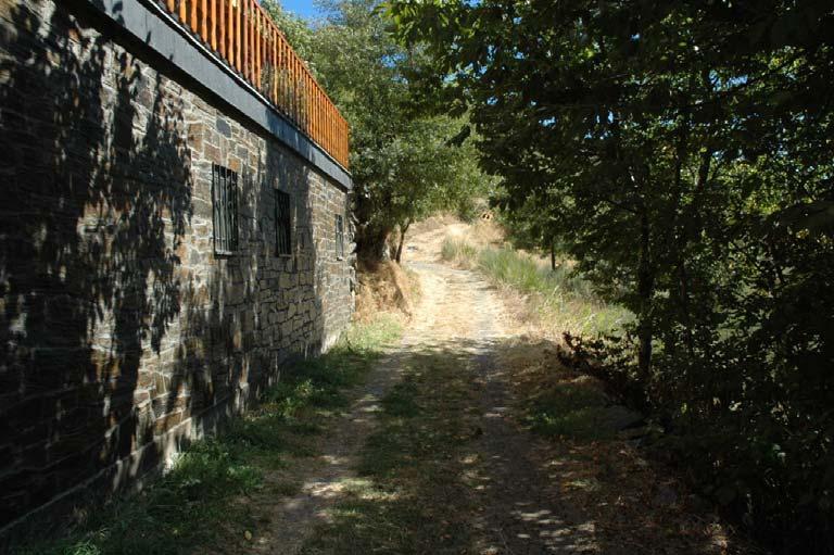 Foto 1. El camino del valle de Zavuelve arranca ladera arriba dejando atrás las últimas casas de Guímara.