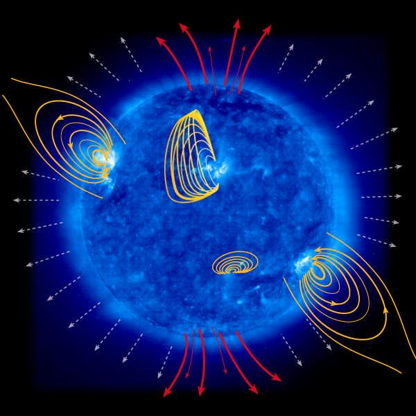 El Sol es fuertemente afectado por fuerzas magnéticas. Las flechas rojas son líneas de campo magnético abierto surgiendo de los polos.