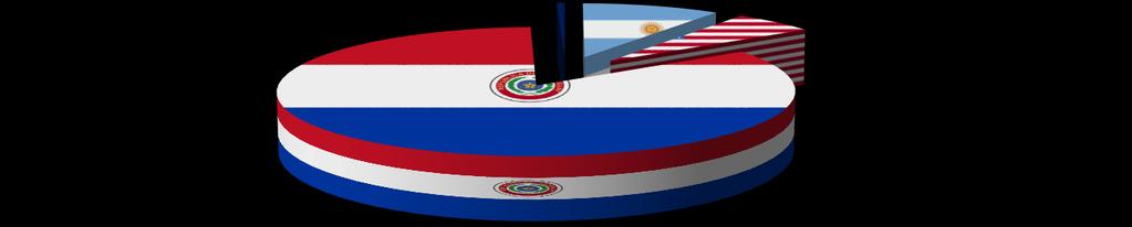Meses Cuadro Nº 10 Chile. Importaciones de maíz por principales países de origen (toneladas) 2014-2015 Argentina EE.UU. Paraguay Total 2014 2015 2014 2015 2014 2015 2014 2015 Var. % Enero 8.900 38.