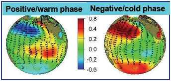 Oscilación decenal del Pacífico Aguas frías o calientes en buena parte del Océano Pacífico Patrones