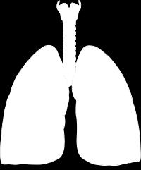 Qué son y para que sirven los pulmones? Como otros órganos del cuerpo, se encuentran en número de dos. Son la parte más importante del sistema respiratorio.