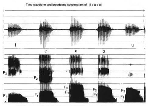 Audiograma y Formantes Forma de onda AUDIOESPECTROGRAMAS