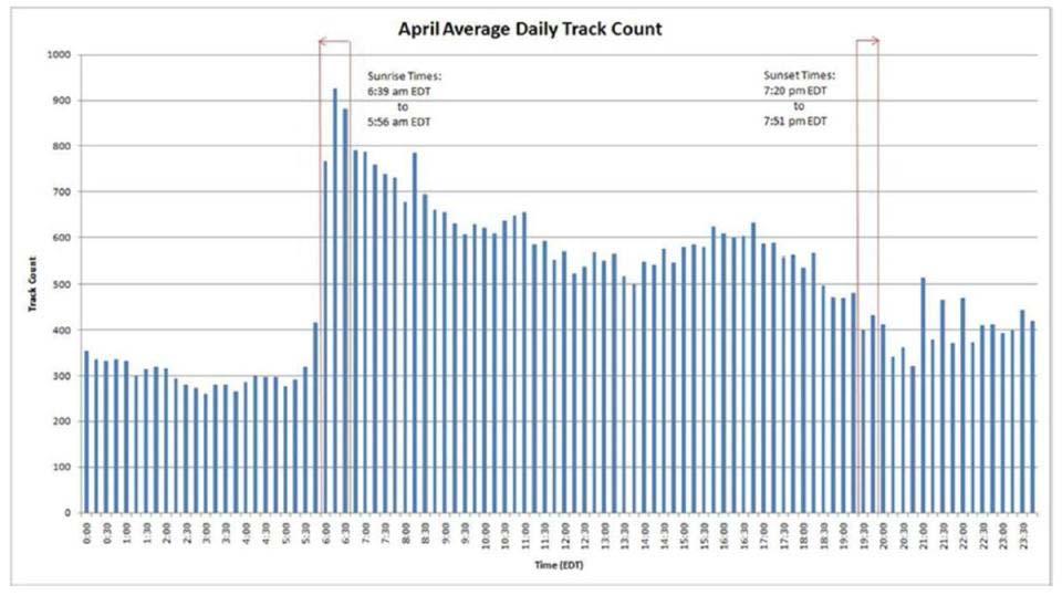 Daily Bird Abundance Chart for JFK Averaged for the month