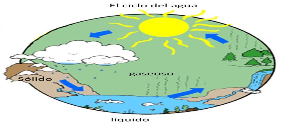 5. LA HIDROESFERA Y LA GEOSFERA LA HIDROESFERA El planeta del agua - La Tierra está formada por un 75% de agua, por eso se ve azul.