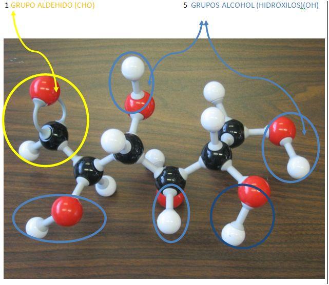 Clasificación de Carbohidratos/Susana Ramírez- Alfredo Martínez 5 Átomos de carbono Átomos de oxígeno Átomos de Hidrógeno