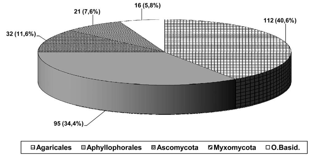 Estudio micológico de El Canal y Los Tiles. V 103 en 26 géneros. Sólo Annulohypoxylon, Mollisia, Stictis y Xylaria están representados por dos especies cada uno, e Hypoxylon por tres.
