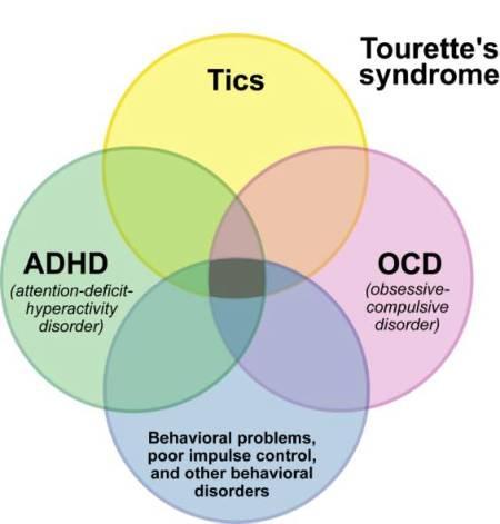 Patología comórbida (80%): TDAH TOC Fobias/ansiedad/depresión Problemas de sueño Síndrome de Tourette