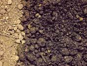 La textura del suelo depende del tamaño de sus partículas.