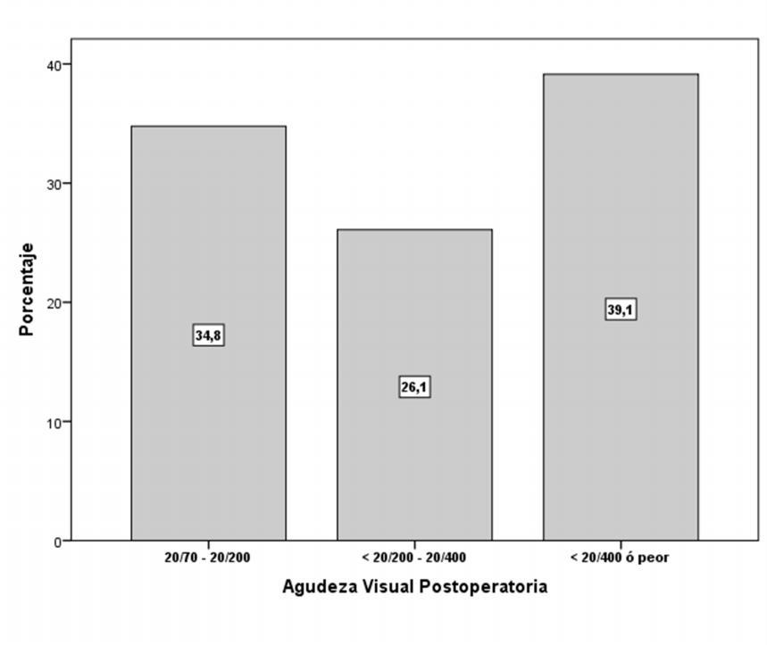 Gráfico N 3: Agudeza visual post-operatoria en desprendimiento de retina por Diálisis retinal INO 2010-2012.