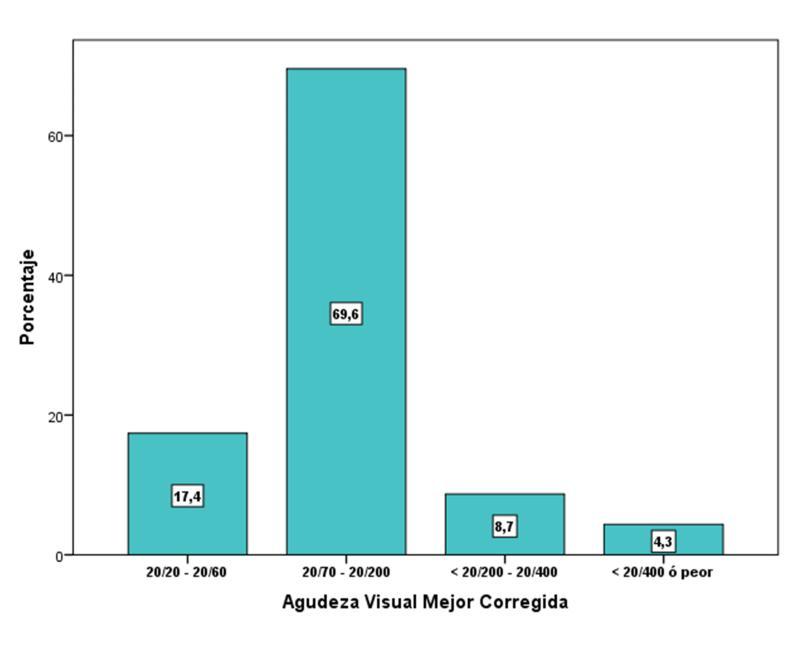 Gráfico N 4: Agudeza visual mejor corregida después de 6 meses de evolución post-operatoria de la cirugía de cerclaje escleral con drenaje mínimamente invasivo en DR por diálisis retinal INO