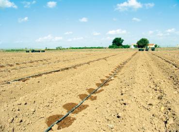 4. Programas de fertilización Para el diseño de los diferentes programas de riego se debe tener en cuenta el cultivo de que se trate, su fecha de plantación, su ciclo, tipo de suelo, calidad del agua