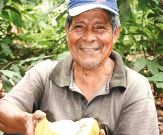 Especialmente saludable para nuestro corazón por su alto contenido en cacao. Perfil Aromático Madagascar Sambirano ofrece un cacao Trinitario muy especial y único con notas típicas ácidas.
