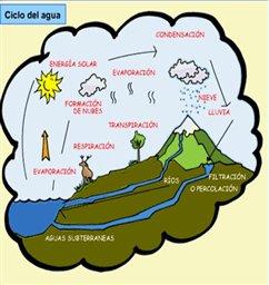 Es el proceso de circulación del agua entre los distintos compartimentos de la hidrosfera.