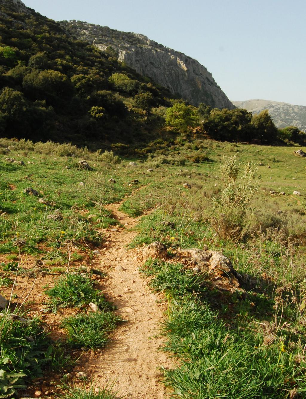 Sierra Norte de Málaga Topoguía Cuadro donde se recogen los cruces más relevantes del recorrido con indicación de la distancia total acumulada hasta el mismo, la distancia parcial desde el anterior