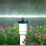 Aspersores de no impacto)t-spray El T-Spray de Senninger produce un rociado fino, ideal para plantas delicadas.