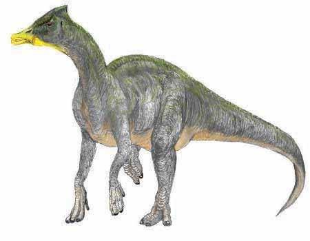 Saurolophus Se cree que la cresta puntiaguda de estos dinosaurios estaba cubierta por una nariz carnosa o por unos pliegues nasales que, con esta estructura ósea, emitían señales sonoras a otros