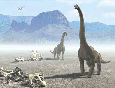 Saurolophus Introducción Los dinosaurios fueron reptiles que habitaron el planeta Tierra durante 160 millones de años, en los periodos Triásico, Jurásico y Cretácico.