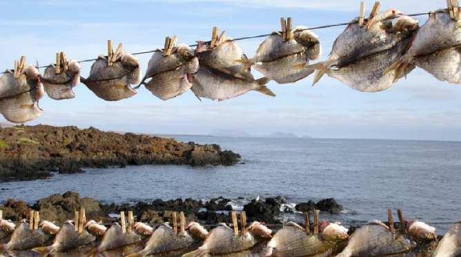 los recursos pesqueros (Pascual, 1991). No existe opción para el pescador de dominar la reproducción de estos Pesca artesanal.