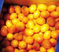 Frutos tropicales Kumquat que contiene su piel), en macedonias, ensaladas, como ingrediente de rellenos, pasteles y tartas.